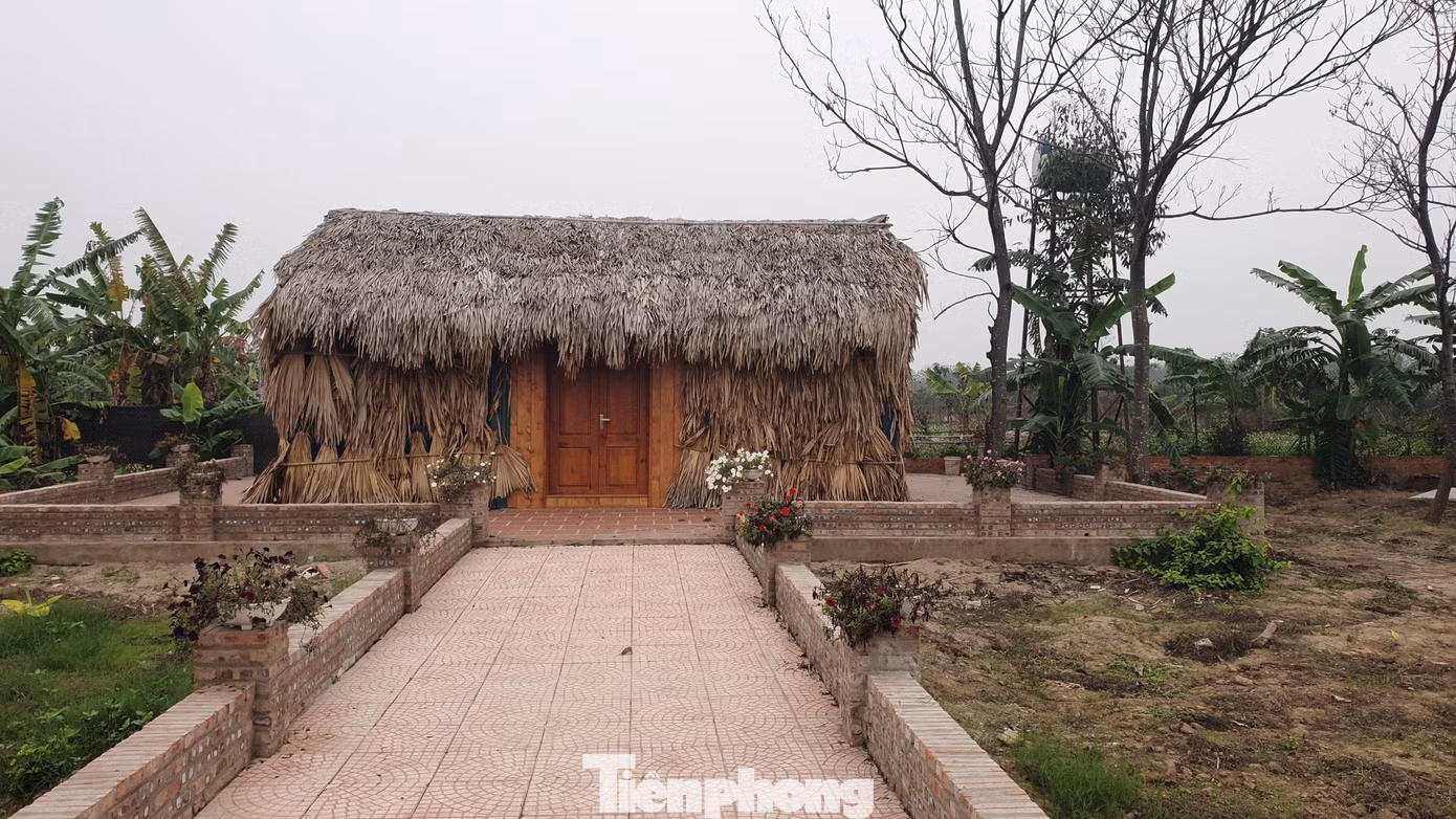 Giữa mỗi ô có cổng sắt mở vào một lối đi lát gạch, dẫn vào các căn nhà bằng tường gạch, lắp cửa gỗ, mái lợp lá. Dù “trang trại” này có gần 10 căn nhà tương tự, nhưng các xe cóc vẫn tiếp tục đưa vật liệu vào để xây dựng. Người dân xung quanh chỉ biết chủ khu vực này tên là Chiến, không biết thường trú ở đâu.