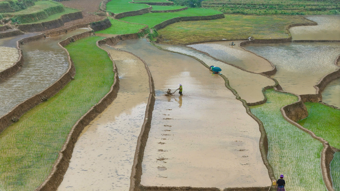 Trên những sườn núi thoai thoải xã Thải Giàng Phố huyện Bắc Hà, ruộng bậc thang mùa nước đổ hiện ra như những nấc thang lên trời.