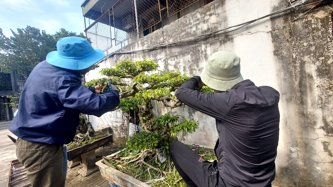 Mỗi ngày một nghệ nhân kiếm từ 700.000 đến 1.000.000 đồng tuỳ theo công việc. Mỗi ngày một nghệ nhân kiếm từ 700.000 đến 1.000.000 đồng tuỳ theo công việc.