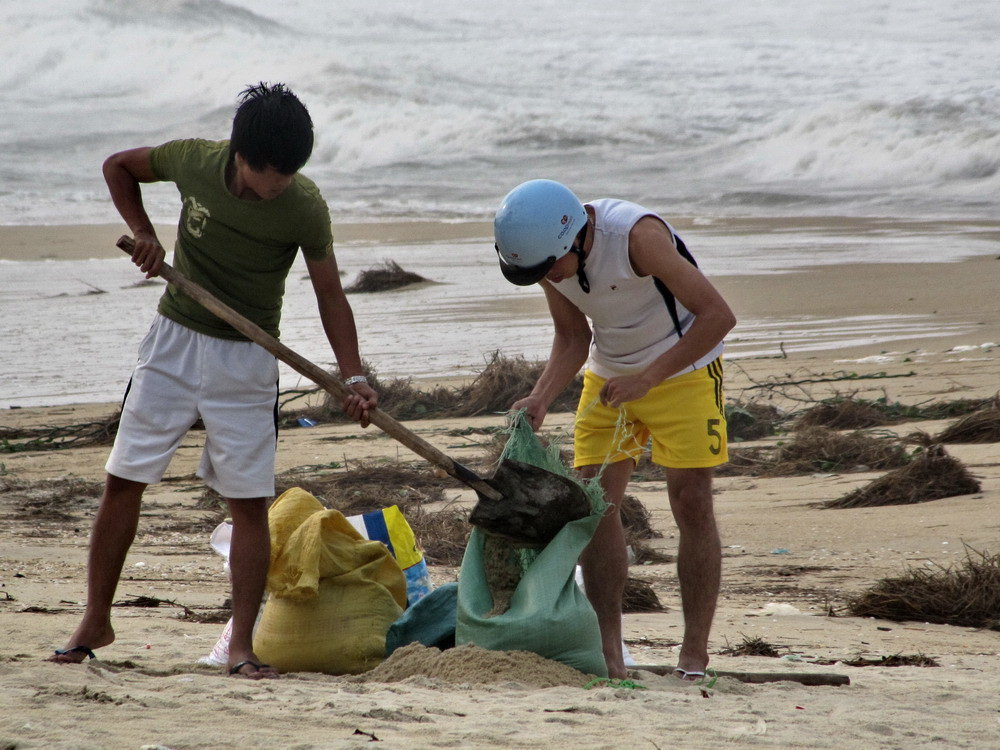 Xúc cát biển chứa bao để giằng giữ mái lợp trước bão. Ảnh: Ngọc Văn. Xúc cát biển chứa bao để giằng giữ mái lợp trước bão. Ảnh: Ngọc Văn