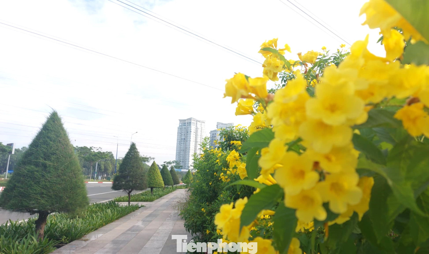 Tuyến đường Hùng Vương dẫn vào Trung tâm hành chính tỉnh Bình Dương rộng nhất tại địa phương này với 12 làn xe, trong đó 8 làn ô tô và 4 làn hỗn hợp hai bên. Tuyến đường được đưa vào sử dụng hơn 10 năm nay.