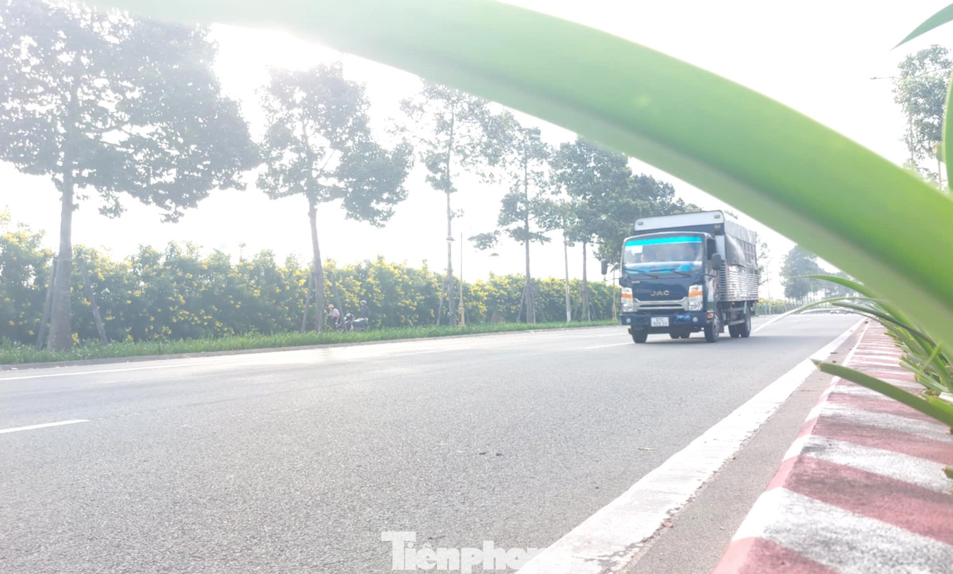 Hai bên tuyến đường Hùng Vương được trồng cây xanh. Hướng đi từ TP Thủ Dầu Một đến Trung tâm hành chính tỉnh Bình Dương được trồng cây chuông vàng. Tiết trời Bình Dương buổi sáng se lạnh, bên đường hoa chuông vàng khoe sắc tạo cảm giác dễ chịu cho người đi đường.