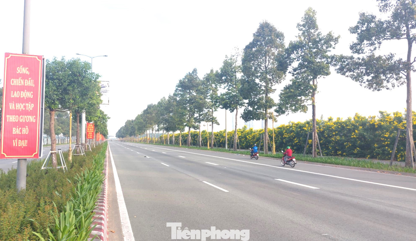 Ngày 1/12, ghi nhận của phóng viên báo Tiền Phong, tuyến đường Hùng Vương dài hơn 3km qua hai phường Phú Mỹ và Hòa Phú (thành phố Thủ Dầu, Bình Dương) hoa chuông vàng bên đường đua nở, tạo nên khung cảnh đẹp, đầy lãng mạn.