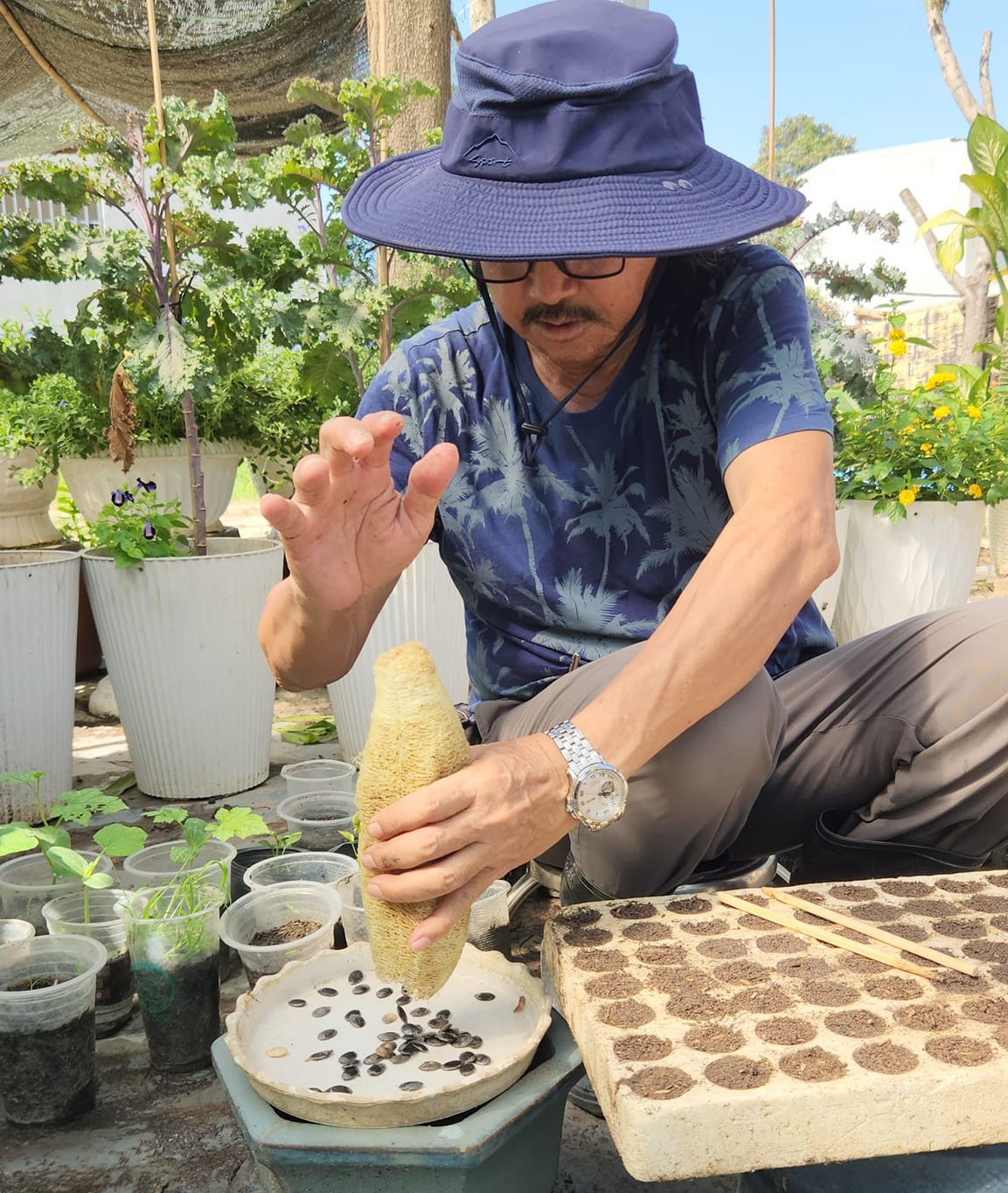 Để có một khu vườn với hàng chục cây ăn quả có nguồn gốc nước ngoài và hiếm có như bây giờ, ông Mân không tiếc công sức, tiền bạc để sưu tầm các giống cây mới trong nhiều năm liền. Ước tính mỗi năm, ông bỏ hàng trăm triệu đồng để mua giống, chăm sóc khu vườn. Để có một khu vườn với hàng chục cây ăn quả có nguồn gốc nước ngoài và hiếm có như bây giờ, ông Mân không tiếc công sức, tiền bạc để sưu tầm các giống cây mới trong nhiều năm liền. Ước tính mỗi năm, ông bỏ hàng trăm triệu đồng để mua giống, chăm sóc khu vườn.