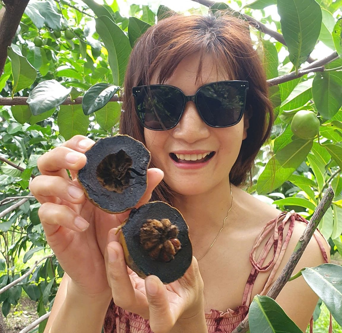 Từ trồng rau, ông thử nghiệm trồng các loại cây ăn trái trên sân thượng và thành công ngoài mong đợi. Từ trồng rau, ông thử nghiệm trồng các loại cây ăn trái trên sân thượng và thành công ngoài mong đợi.