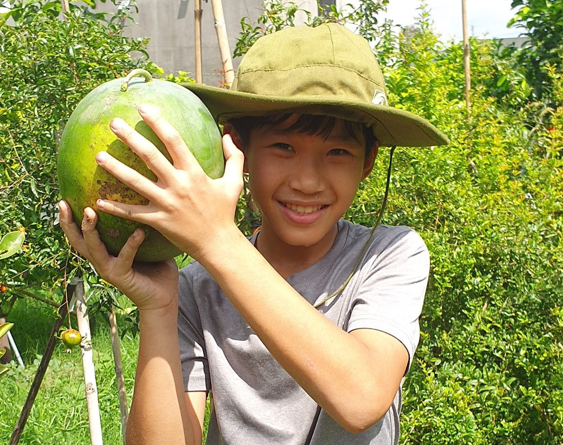 Cận cảnh vườn cây ăn trái ‘độc nhất vô nhị’ ở Bình Dương ảnh 9 Cận cảnh vườn cây ăn trái ‘độc nhất vô nhị’ ở Bình Dương ảnh 9
