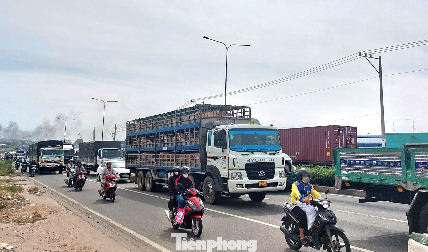 Dự kiến, trạm thu phí sẽ được đặt gần nút giao giữa đường Mỹ Phước Tân Vạn và đường Lê Thị Trung (TP.Thuận An). Thời gian thu phí dự kiến trong vòng 30 năm, với tổng số tiền ước thu 9.628 tỉ đồng. Dự kiến, trạm thu phí sẽ được đặt gần nút giao giữa đường Mỹ Phước Tân Vạn và đường Lê Thị Trung (TP.Thuận An). Thời gian thu phí dự kiến trong vòng 30 năm, với tổng số tiền ước thu 9.628 tỉ đồng.