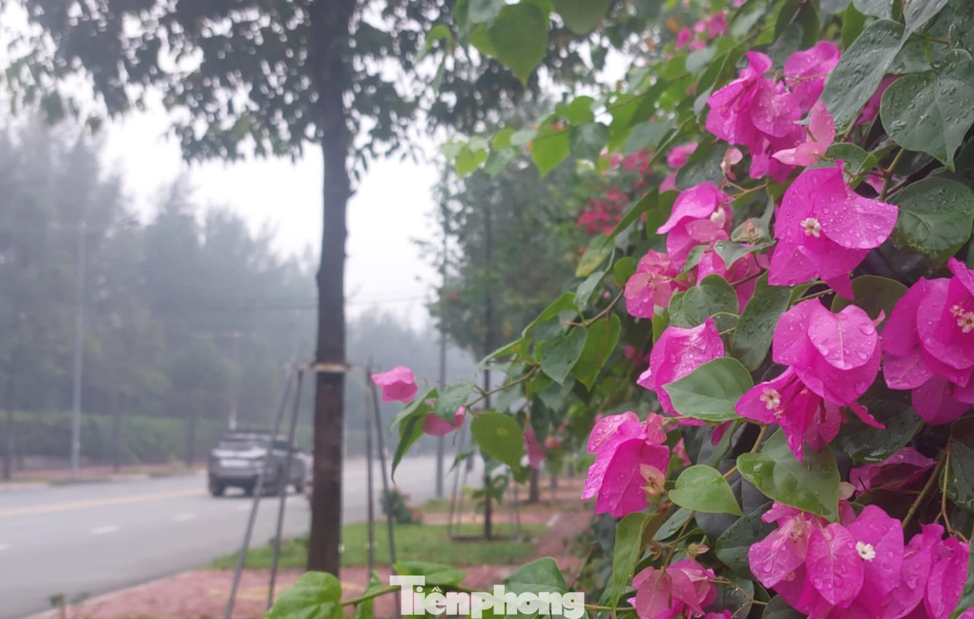 Trong tuần đầu tháng 12, không khí lạnh tăng cường yếu và lệch đông từ ngày 2/12 và đợt tăng cường sau có cường độ mạnh vào ngày 7/12.