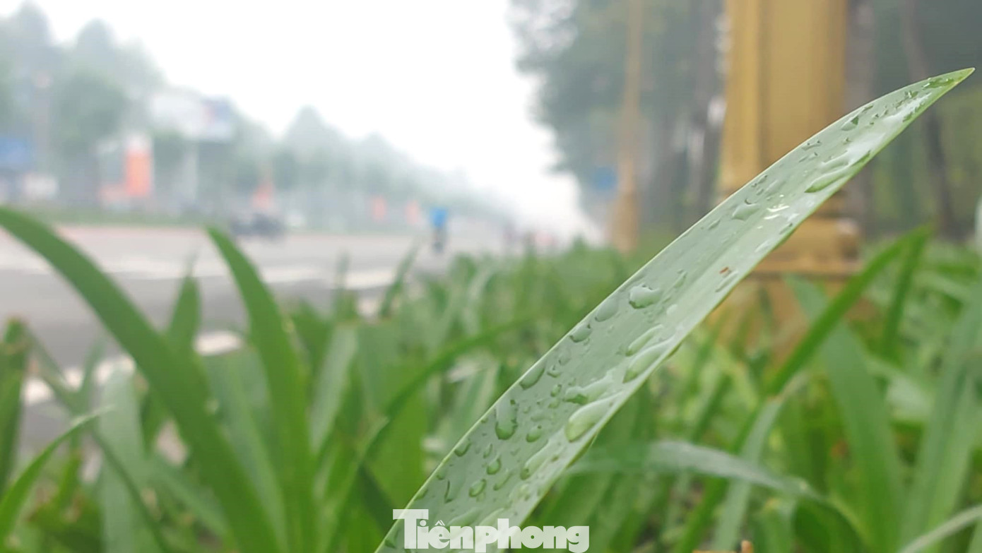 Đài Khí tượng Thuỷ văn khu vực Nam Bộ cho biết, mùa mưa ở Nam Bộ đã kết thúc hoàn toàn trong nửa đầu tháng 11. Tuy vậy, vẫn sẽ có những đợt mưa trái mùa trong tháng 12.