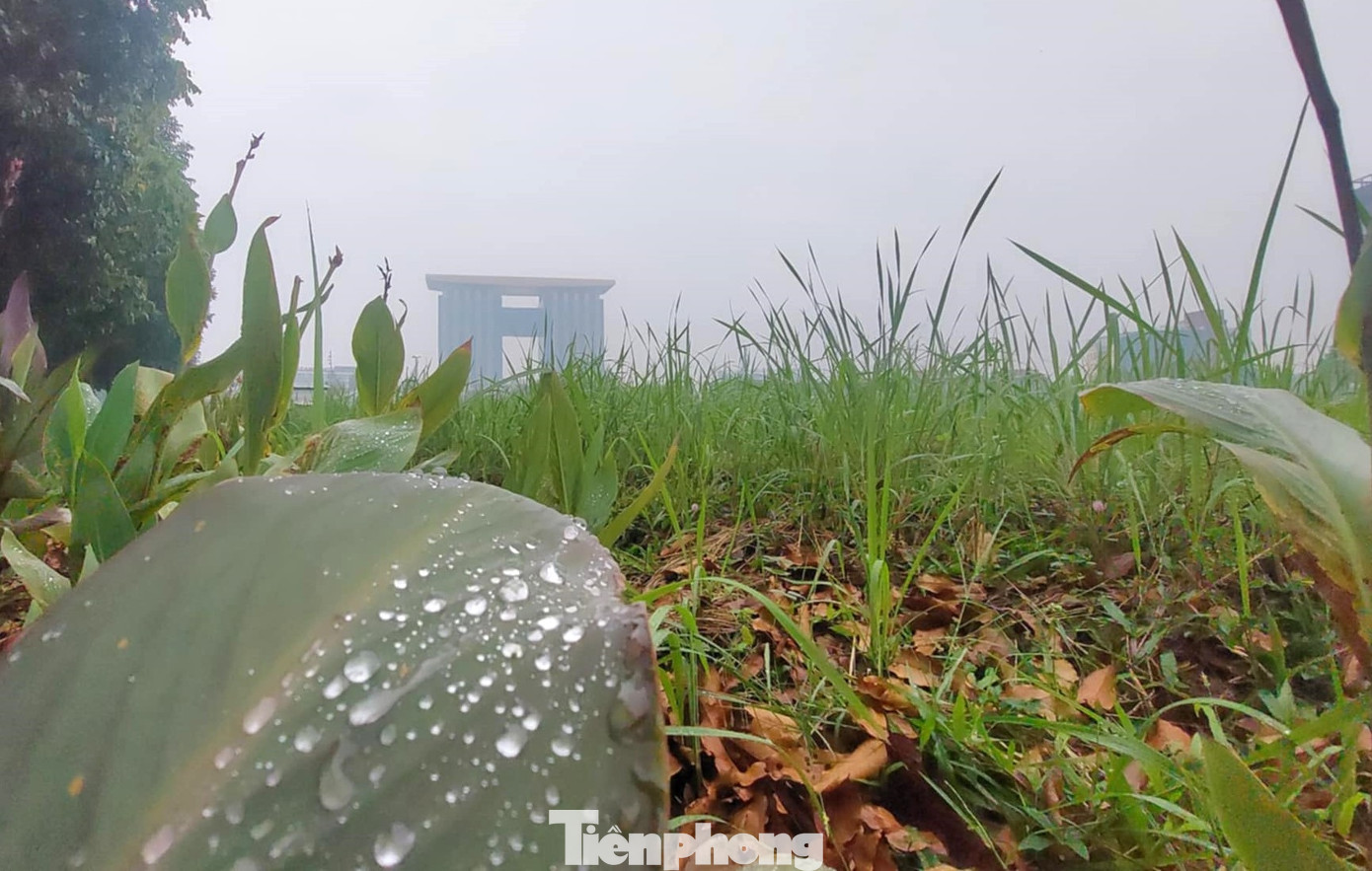 Trong khoảng thời gian này, khu vực Nam bộ có một đợt mưa trái mùa với khả năng có mưa trên diện rộng với một vài nơi có mưa vừa, cục bộ có mưa to.