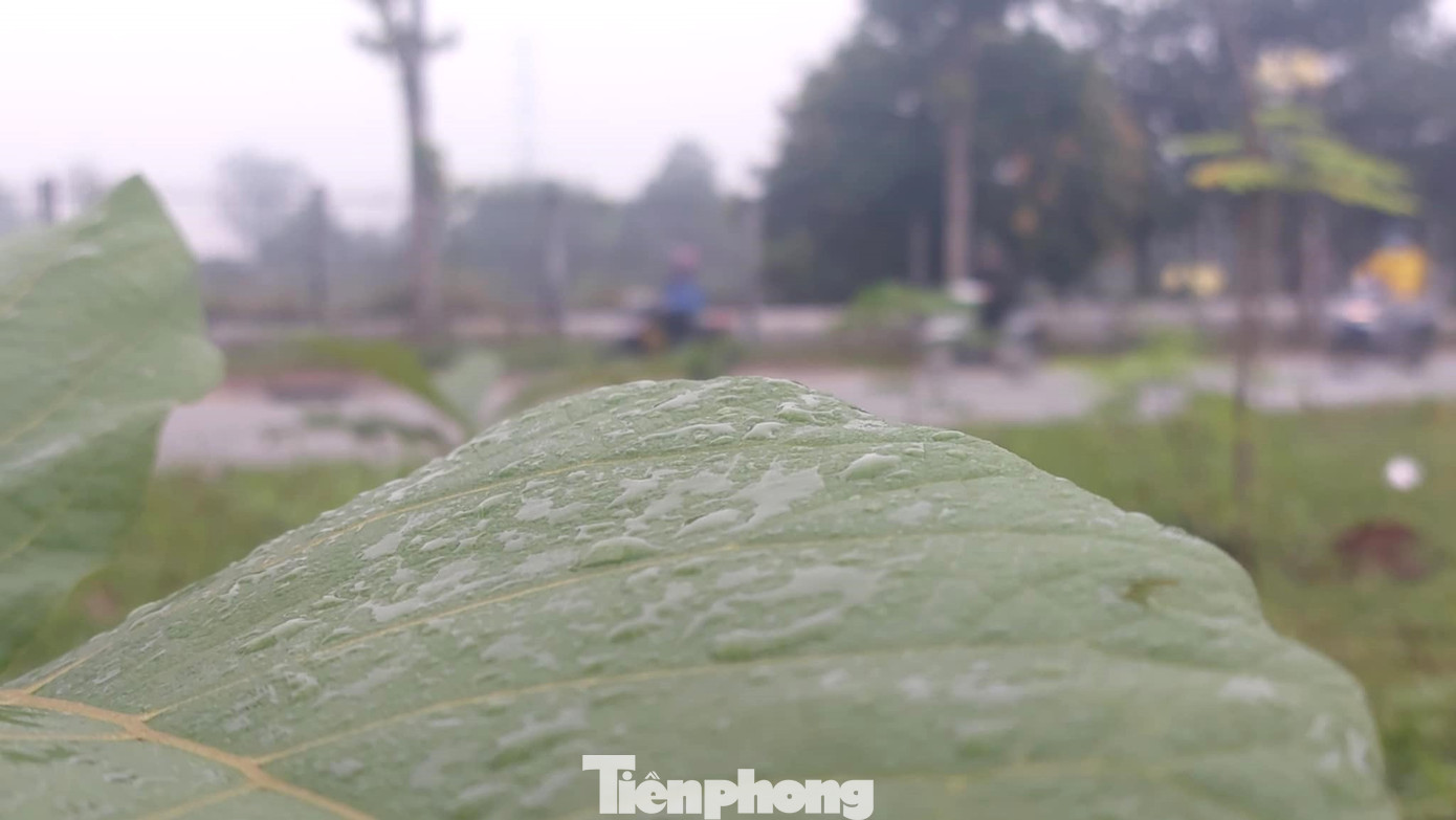 Sương mù tạo thành giọt nước