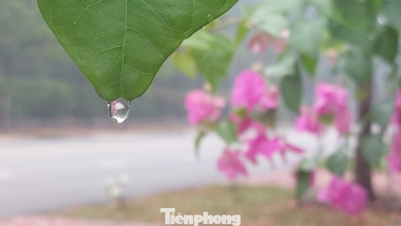 Rãnh áp thấp có trục ở khoảng 4-7 độ vĩ Bắc, từ ngày 2 đến 7/12 nâng nhẹ trục lên phía Bắc với khả năng nối với một vùng áp thấp trên khu vực nam Biển Đông. Trên cao, áp cao cận nhiệt đới có trục qua Trung bộ hoạt động với cường độ tương đối ổn định.