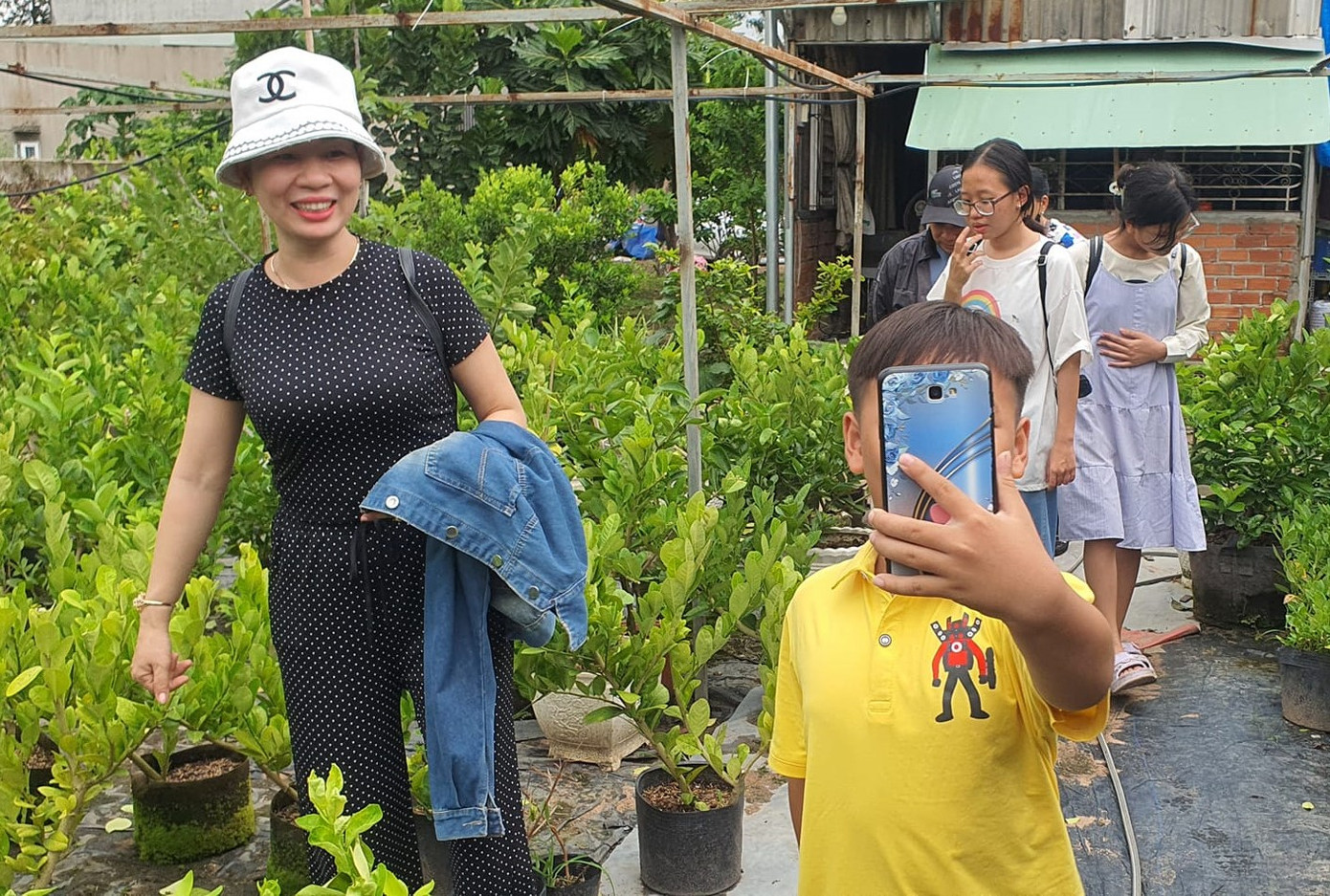 Đến nay, khu vườn được ông Mân phủ kín bằng vô số loại cây ăn quả độc, lạ, rất hiếm có tại Việt Nam như hồng sô cô la nguồn gốc Lokal, Jumbo, Matt Giant,...; vú sữa hoàng kim; sung Mỹ; ổi khổng lồ; chanh vàng không hạt của Mỹ; chanh Limca không hạt của Mỹ... Hiện nay, khu vườn của ông Mân được nhiều người ngỏ ý tìm đến tham quan, học hỏi kinh nghiệm. Tuy nhiên, vì vẫn đang trong giai thử nghiệm nên ông chỉ mời một số người thân quen đến trải nghiệm. Đến nay, khu vườn được ông Mân phủ kín bằng vô số loại cây ăn quả độc, lạ, rất hiếm có tại Việt Nam như hồng sô cô la nguồn gốc Lokal, Jumbo, Matt Giant,...; vú sữa hoàng kim; sung Mỹ; ổi khổng lồ; chanh vàng không hạt của Mỹ; chanh Limca không hạt của Mỹ... Hiện nay, khu vườn của ông Mân được nhiều người ngỏ ý tìm đến tham quan, học hỏi kinh nghiệm. Tuy nhiên, vì vẫn đang trong giai thử nghiệm nên ông chỉ mời một số người thân quen đến trải nghiệm.