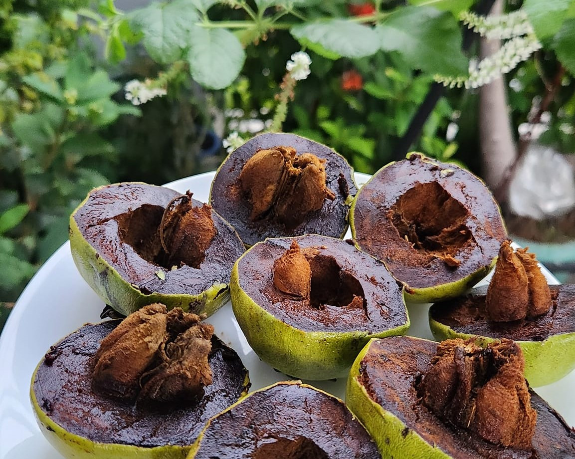 “Tôi đang thử nghiệm một số giống cây mới như bánh kem, đậu kem, hồng xiêm ruột đỏ khổng lồ, Mamey Apple, nhãn ma toa, ổi tím Daeng Ayothaya 3, mãng cầu gai khổng lồ của Thái,… Nếu thành công, tôi dự định sẽ cung cấp giống cho những nhà vườn hoặc người có nhu cầu. Giống phải đảm bảo được lấy từ những cây đã đậu quả, chất lượng cao”, ông Mân chia sẻ và cho hay, hiện tại chưa nghĩ tới việc bán trái cây để kiếm tiền mà thử nghiệm, sau khi đạt kết quả sẽ bán giống cho những người có chung niềm đam mê. “Tôi đang thử nghiệm một số giống cây mới như bánh kem, đậu kem, hồng xiêm ruột đỏ khổng lồ, Mamey Apple, nhãn ma toa, ổi tím Daeng Ayothaya 3, mãng cầu gai khổng lồ của Thái,… Nếu thành công, tôi dự định sẽ cung cấp giống cho những nhà vườn hoặc người có nhu cầu. Giống phải đảm bảo được lấy từ những cây đã đậu quả, chất lượng cao”, ông Mân chia sẻ và cho hay, hiện tại chưa nghĩ tới việc bán trái cây để kiếm tiền mà thử nghiệm, sau khi đạt kết quả sẽ bán giống cho những người có chung niềm đam mê.