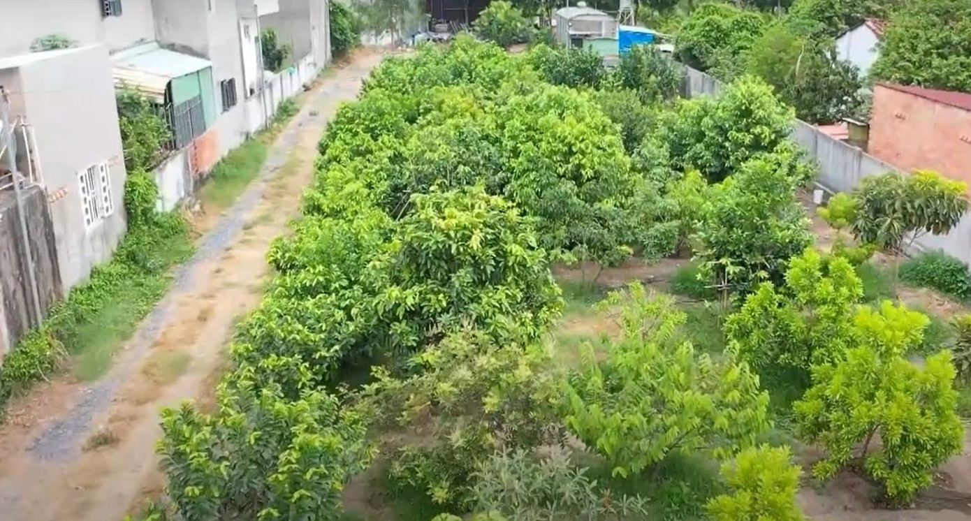 Ngoài ra, ông còn dự định biến khu vườn của mình không chỉ là nơi trải nghiệm cây ăn quả độc lạ mà còn cung cấp cây giống ra thị trường. Ngoài ra, ông còn dự định biến khu vườn của mình không chỉ là nơi trải nghiệm cây ăn quả độc lạ mà còn cung cấp cây giống ra thị trường.