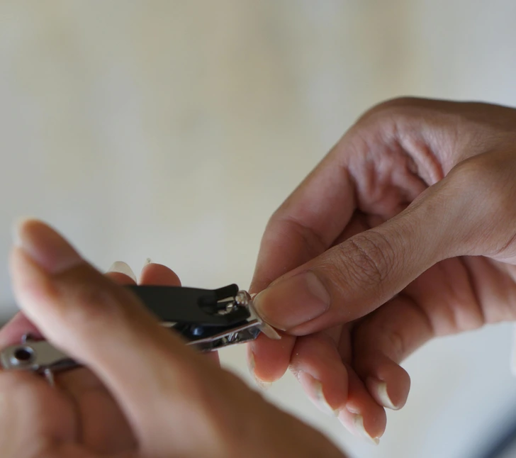 Việc chăm sóc móng thường xuyên bao gồm cả việc dũa và cắt tỉa. Việc chăm sóc móng thường xuyên bao gồm cả việc dũa và cắt tỉa.