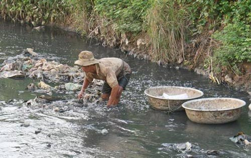 Sục tay vào đống rác bẩn. Sục tay vào đống rác bẩn