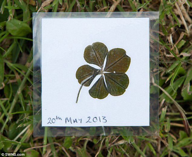 Hai mẹ con nhà Wrenn đã ép lá cỏ để có thể giữ nó được lâu dài. Ảnh: SWNS.