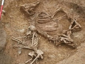 Ngôi mộ cổ "kỳ lạ" mà các nhà khảo cổ Anh vừa mới phát hiện. Nguồn: BBC. Ngôi mộ cổ