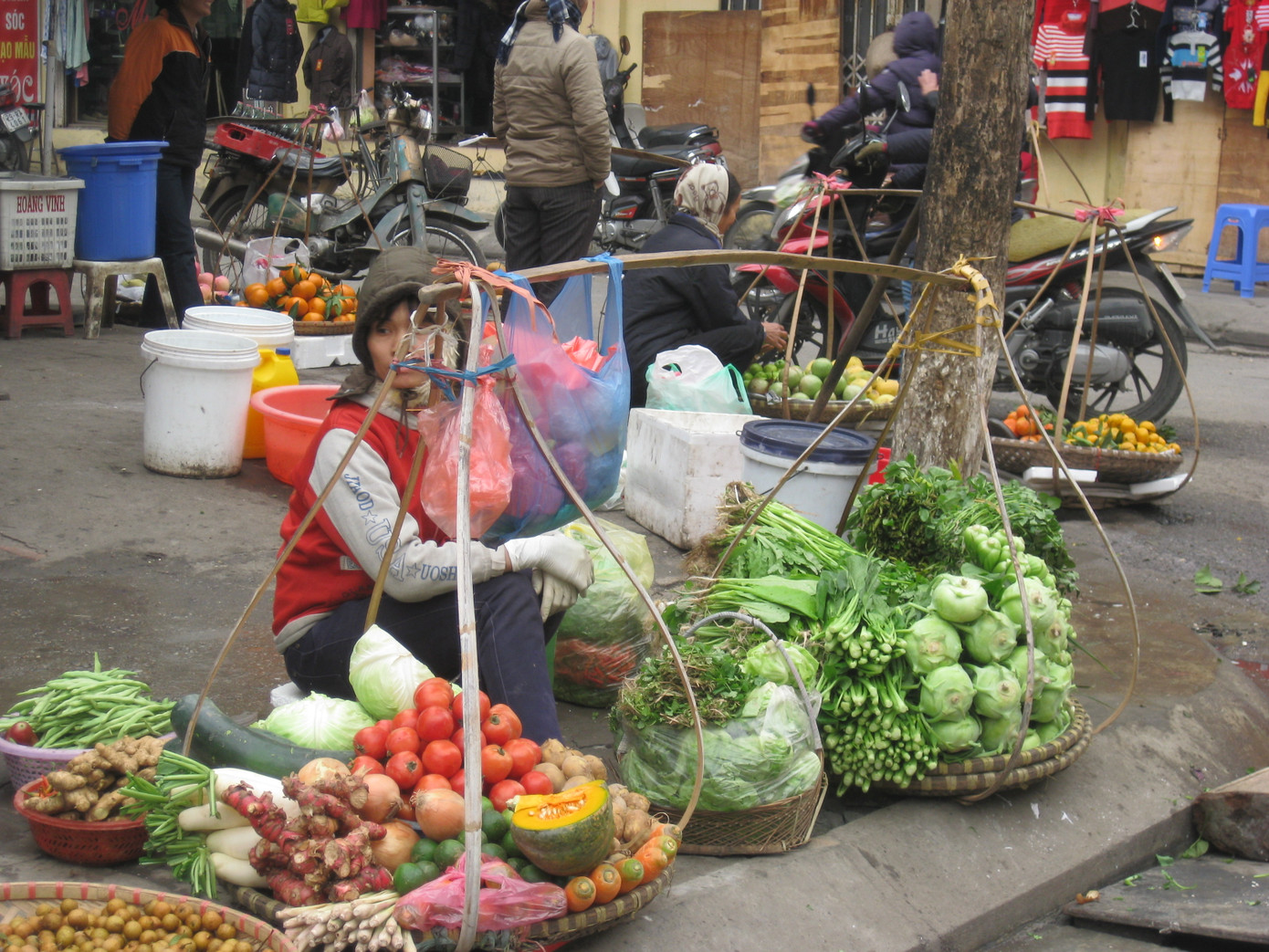 Rau đắt, ít loại và thưa thớt người mua