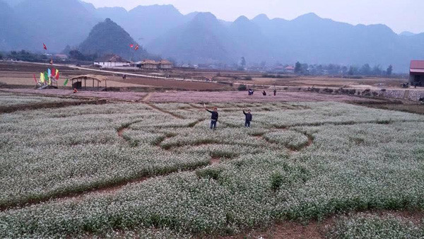 Bôi mặt dự lễ Ná Nhèm của người Tày ảnh 3