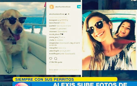 Có bồ mới, sao Arsenal thoát cảnh chỉ chơi với cún ảnh 2