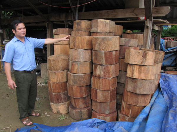 Thớt gỗ nghiến bị thu giữ