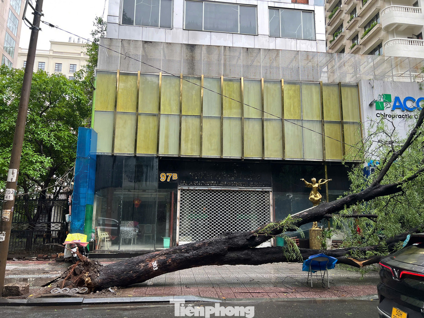 Cây me bị bật gốc trên đường Nguyễn Du, quận 1.