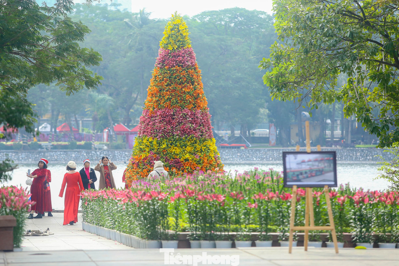 Cách sắp xếp khéo léo tạo thành từng lớp cho cây thông với đủ màu sắc rực rỡ.