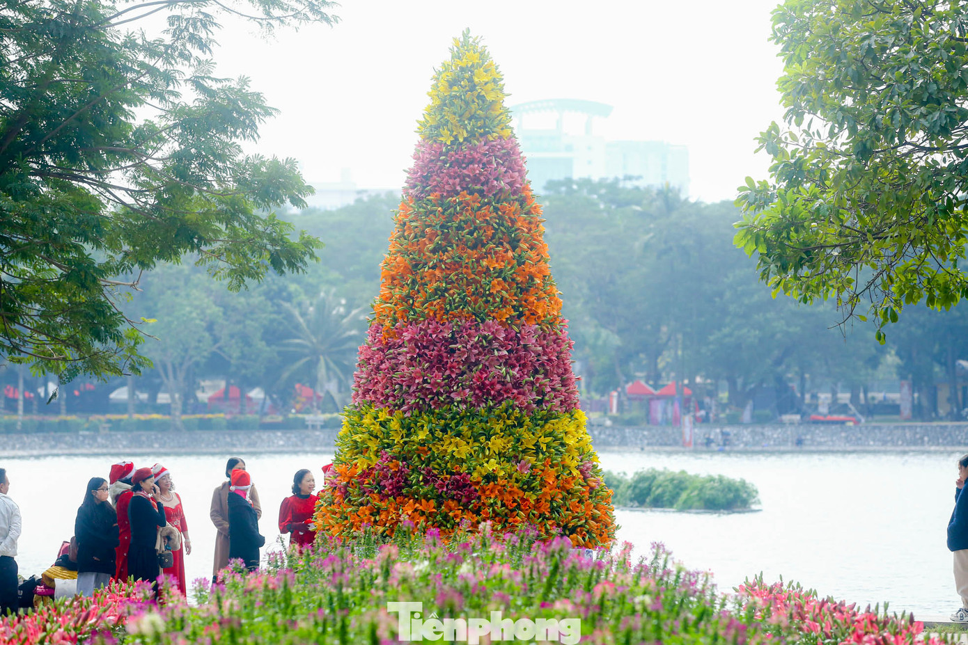 Cây thông Noel thu hút rất nhiều du khách đến đây trong mùa Giáng sinh năm nay.