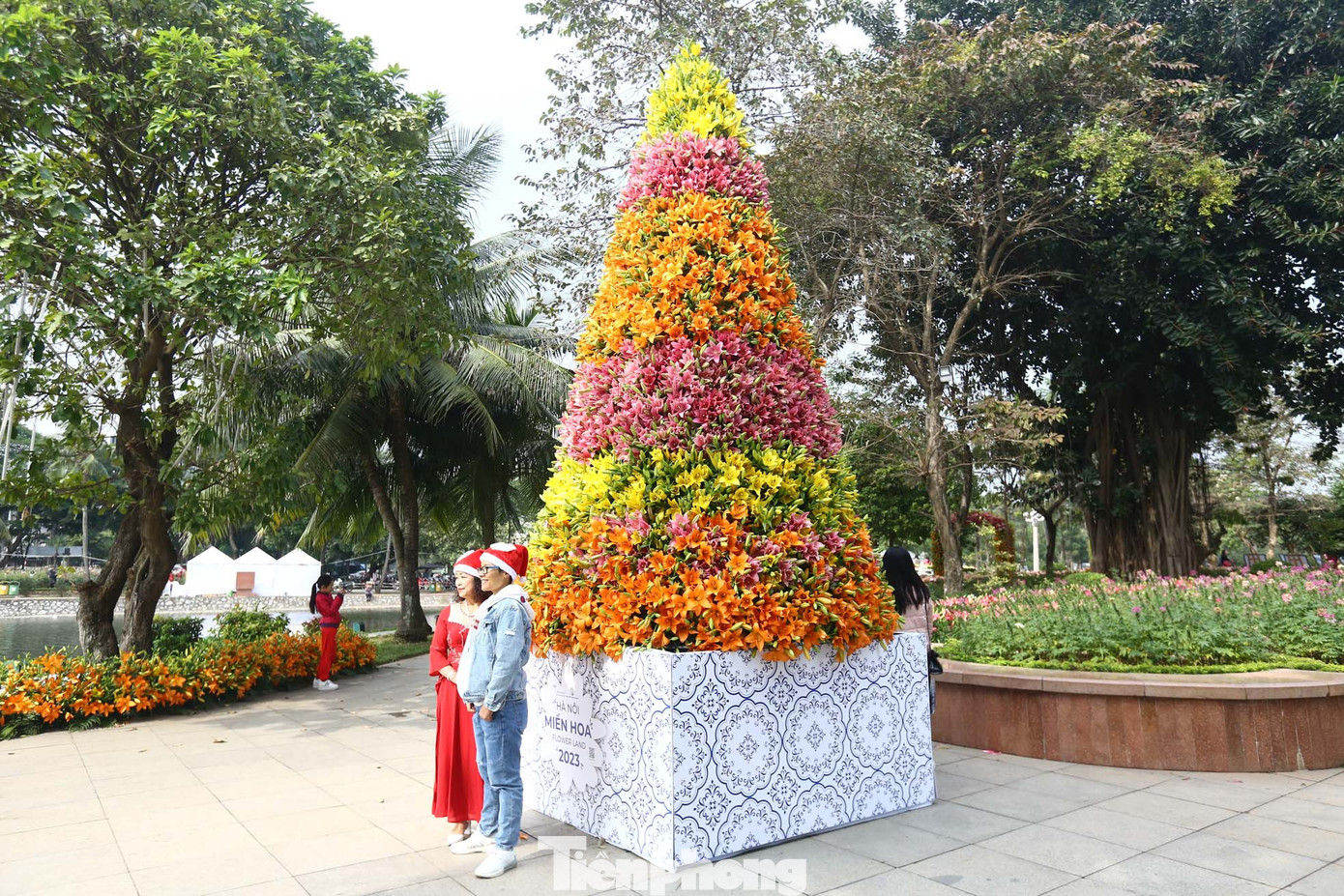 Rất nhiều du khách đến đây để thưởng thức, chụp ảnh cùng cây thông Noel độc đáo này.