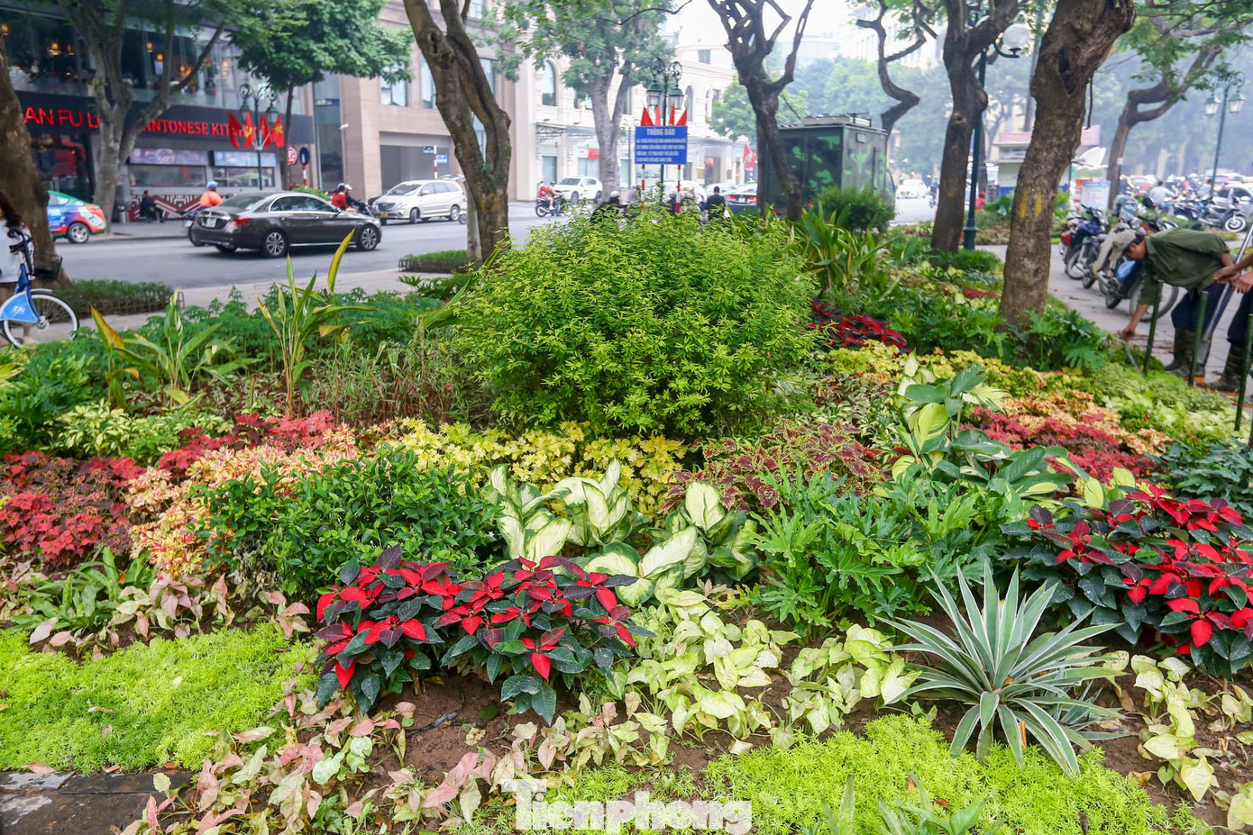 Khu vực bồn hoa được trồng đa dạng các loài mang đến nhiều màu sắc rực rỡ.