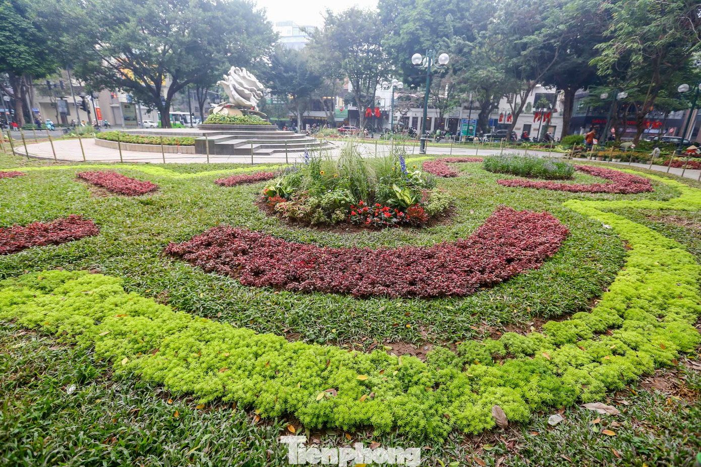 Khu vực cỏ và hoa được chỉnh trang gọn gàng, đậm nét.