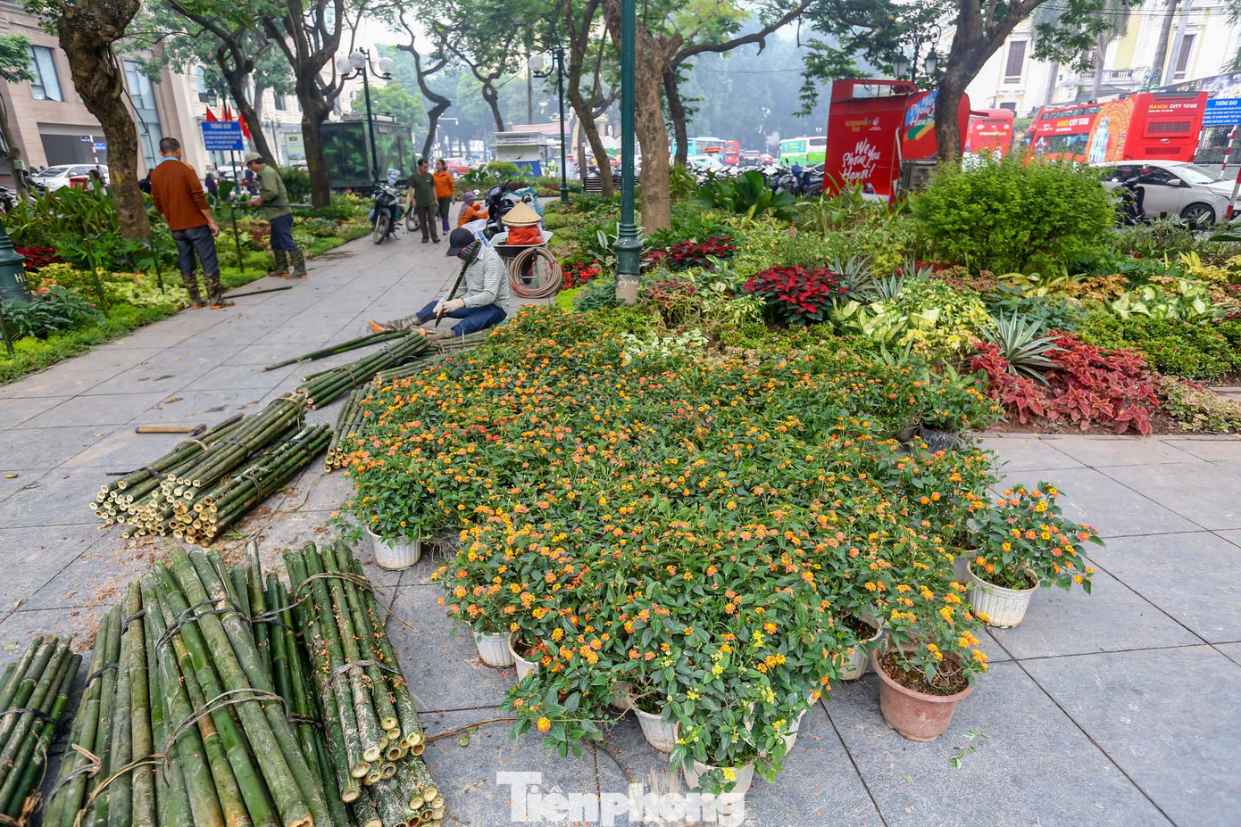 Một số khu vực đang được công nhân gấp rút hoàn thành.