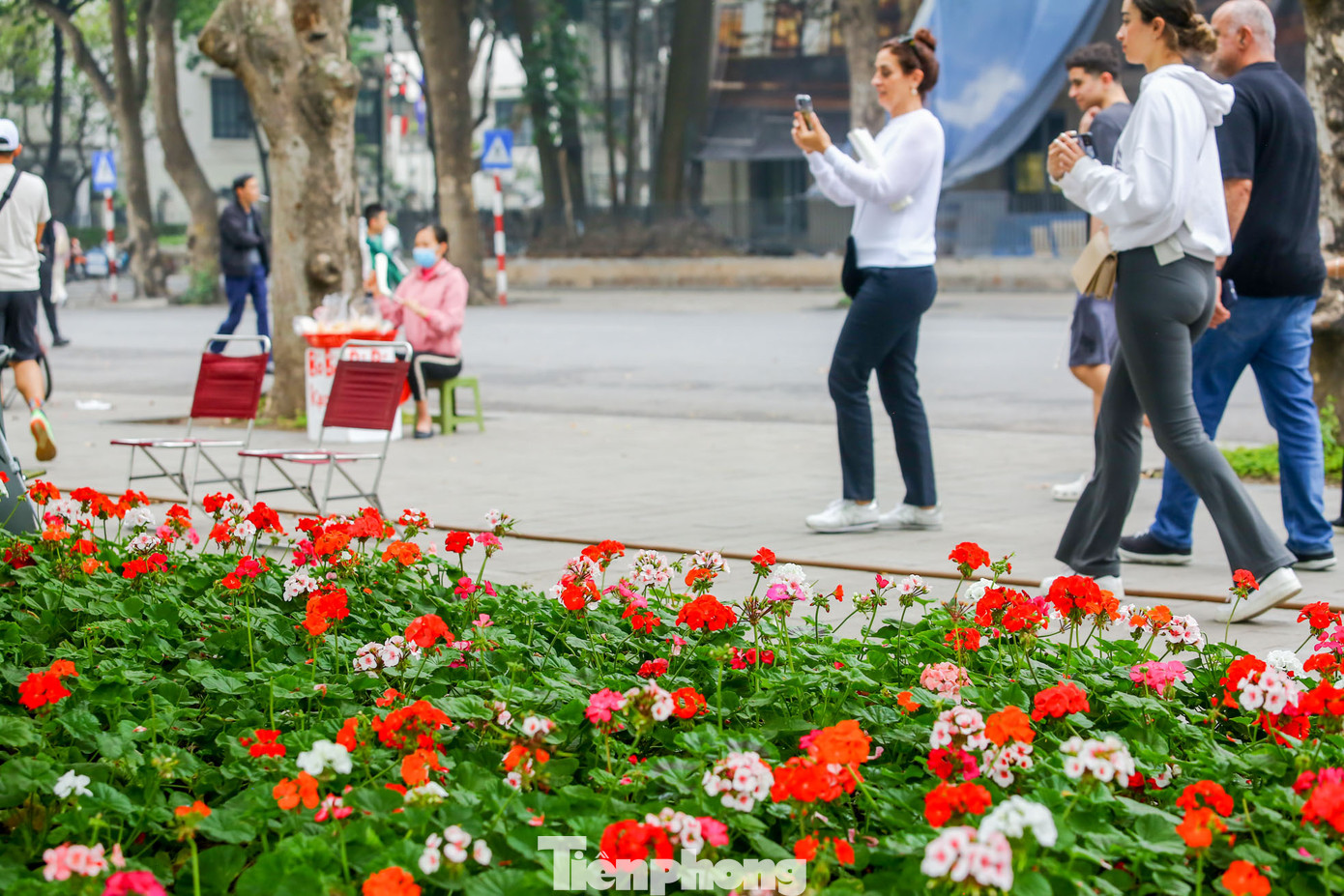 Thảm hoa thu hút người dân và cả du khách nước ngoài.