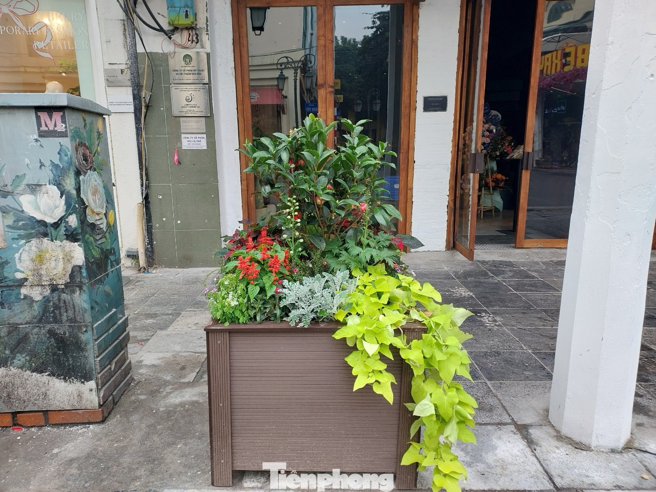 Những bồn hoa trên vỉa hè phố Tràng Tiền, phố Nguyễn Xí được thay mới với sắc màu rực rỡ.