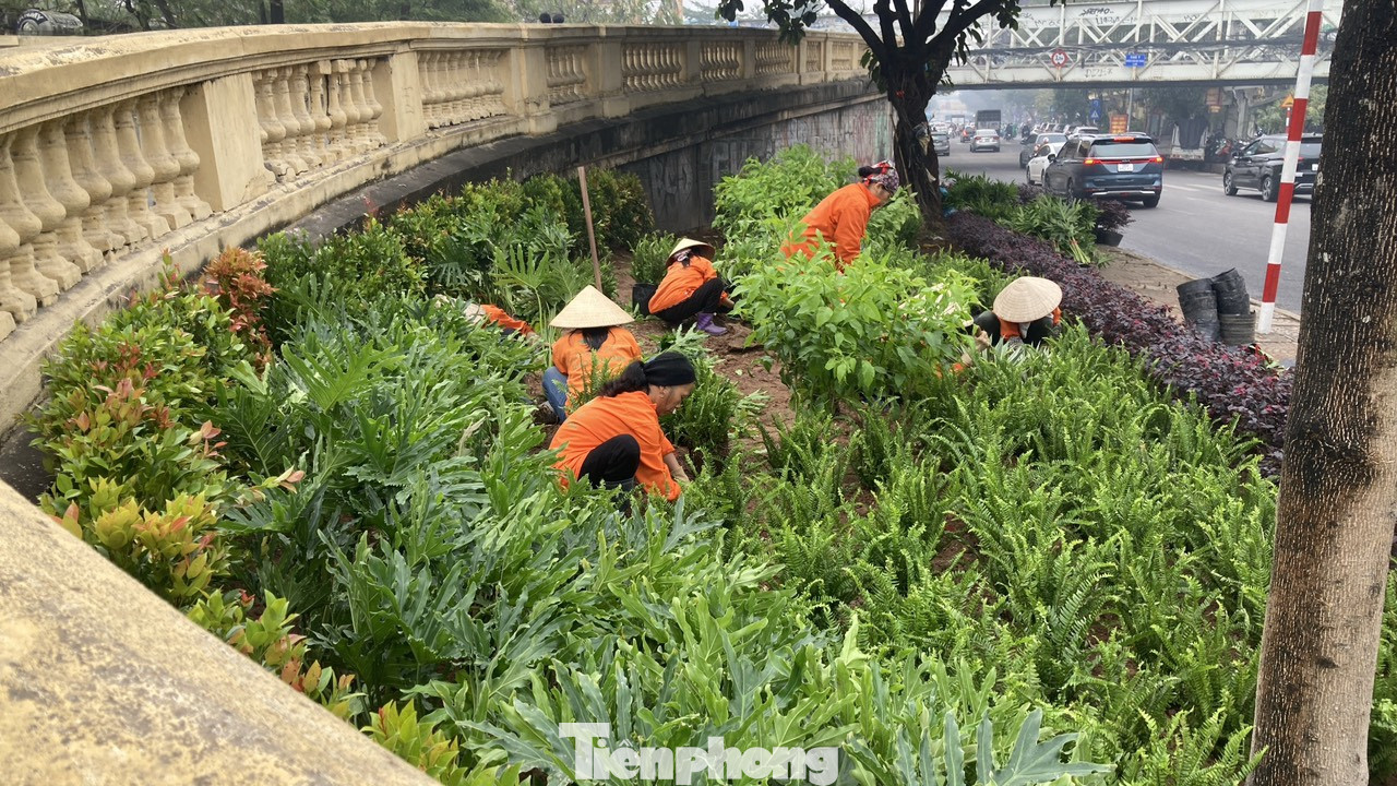 Khu vực bồn hoa tại chân đường dẫn lên cầu Long Biên, gần nút giao Hàng Đậu được thay thảm cây đẹp đón năm mới 2024.