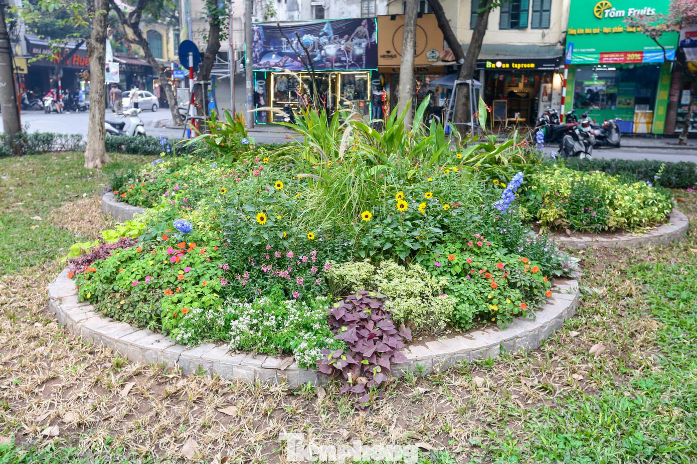 Vườn hoa Cửa Nam nằm ngay ngã tư Thợ Nhuộm, Hàng Bông được chỉnh trang, cải tạo đón năm mới 2024.