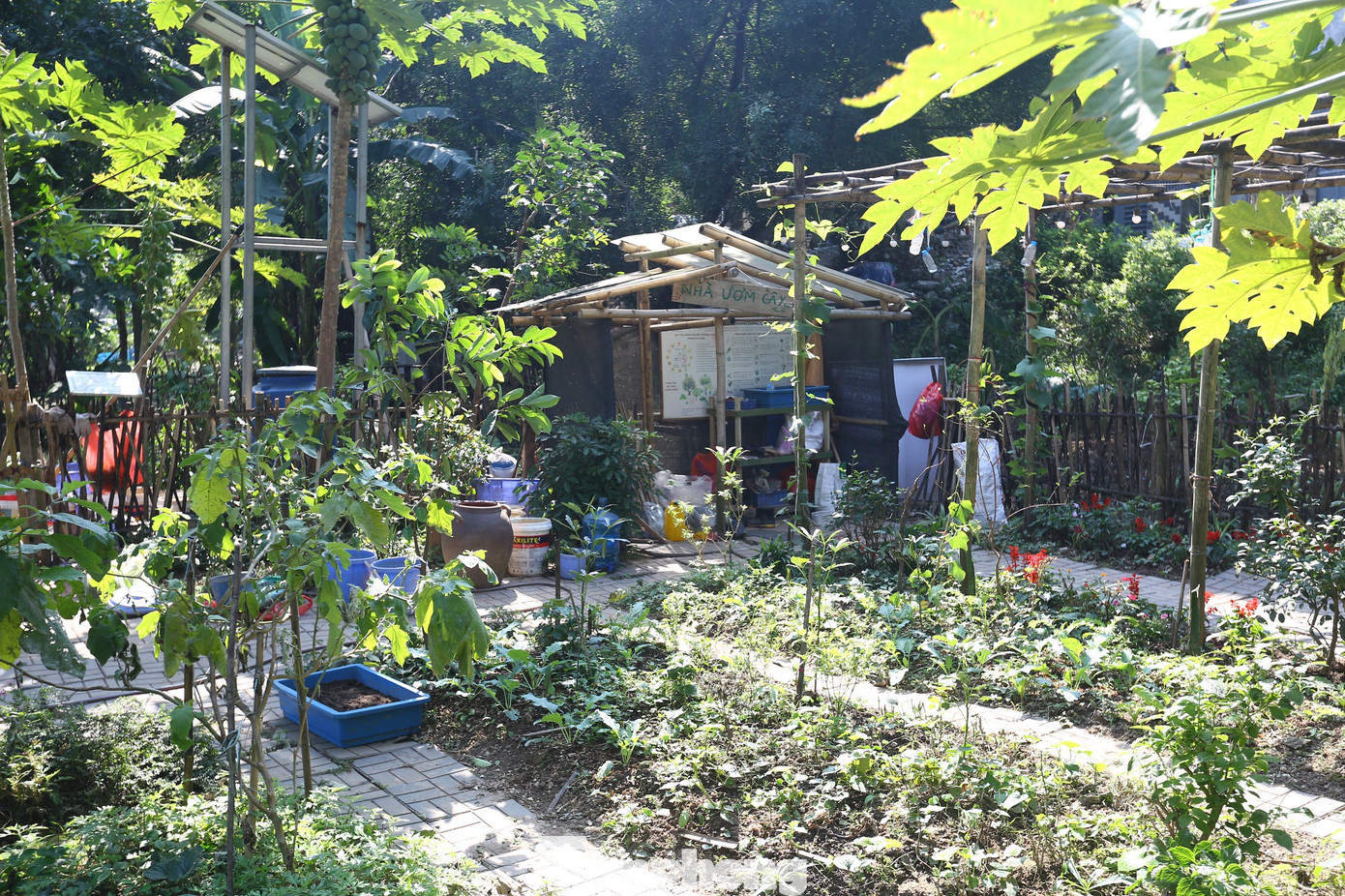 Vẻ xanh sạch mà khu vườn mang lại từ một khu đất phế thải.