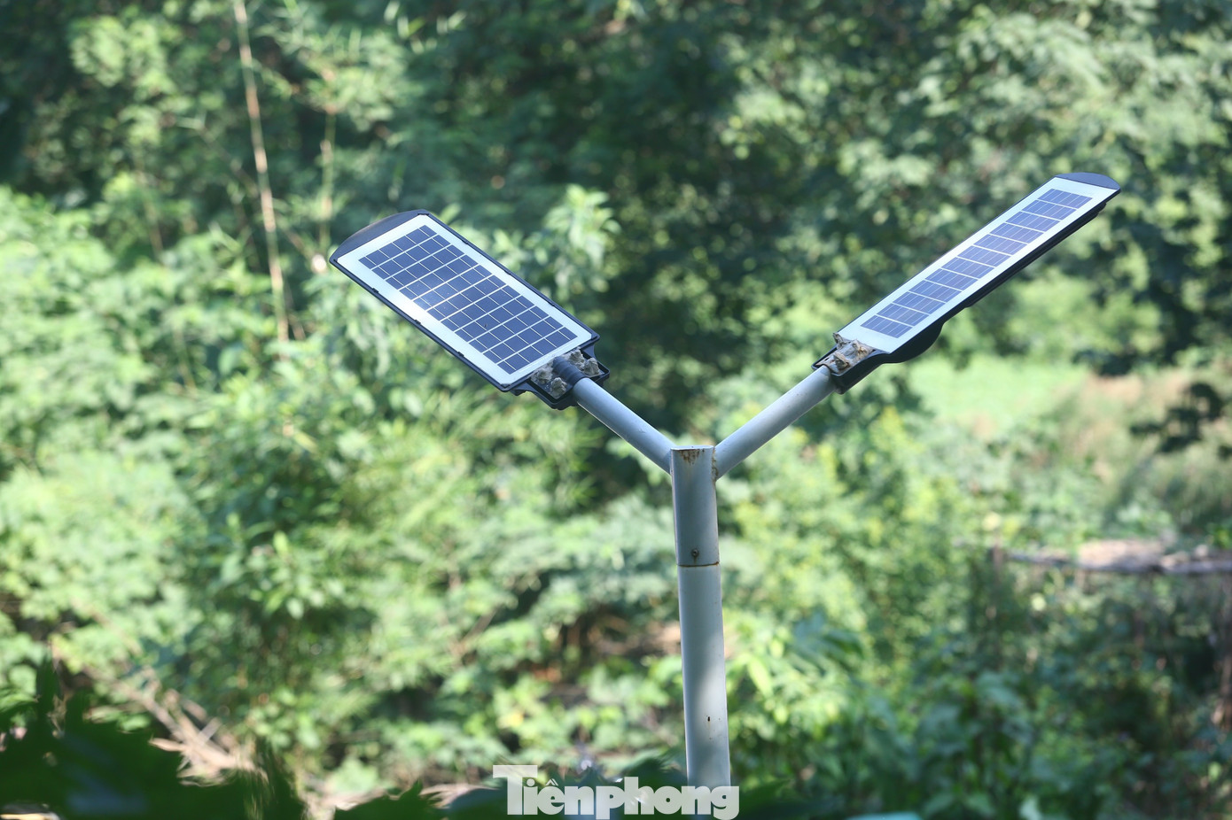 Hệ thống chiếu sáng dùng pin năng lượng mặt trời.