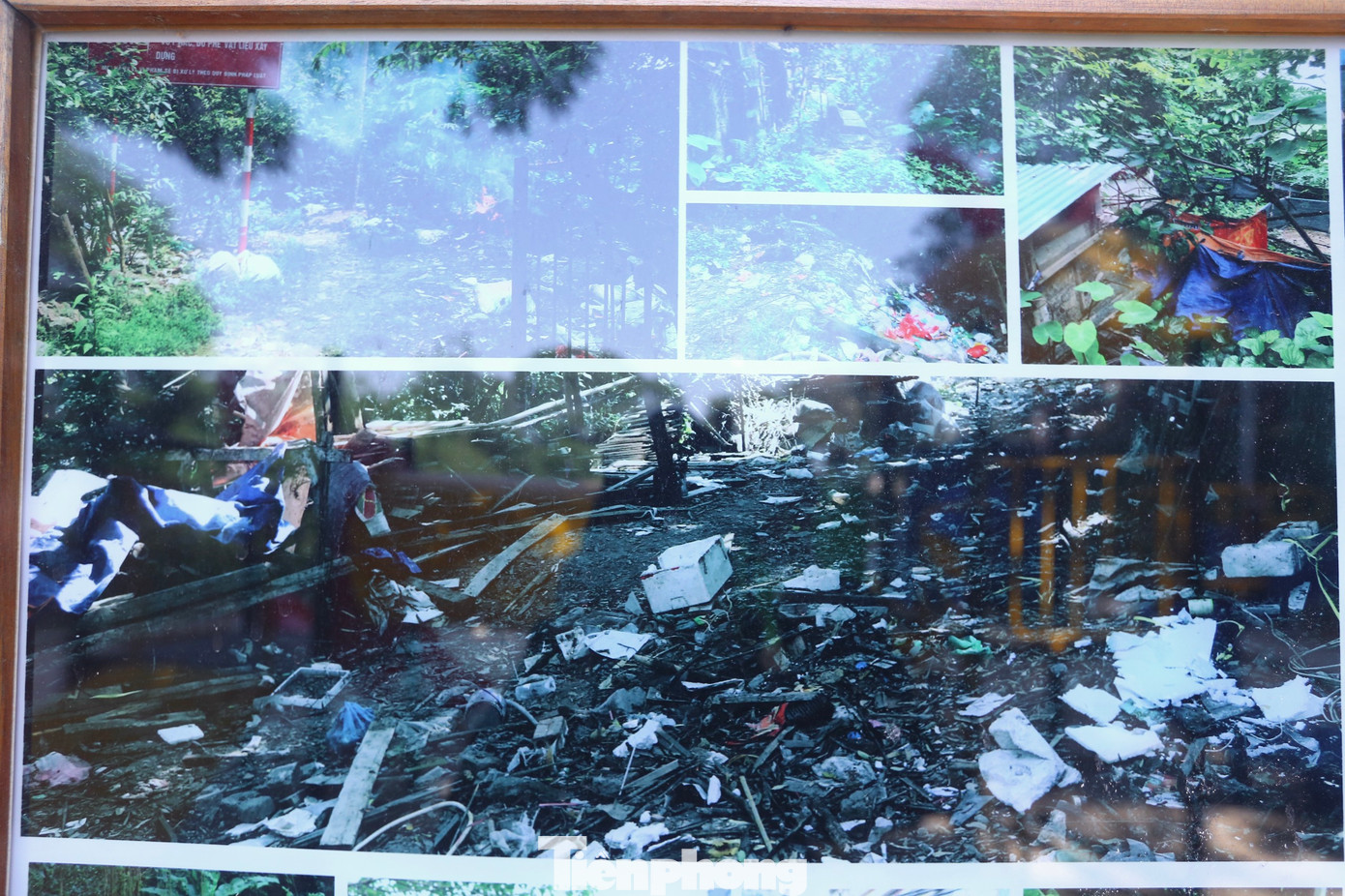 Hình ảnh khu đất trước khi cải tạo thành vườn rừng.