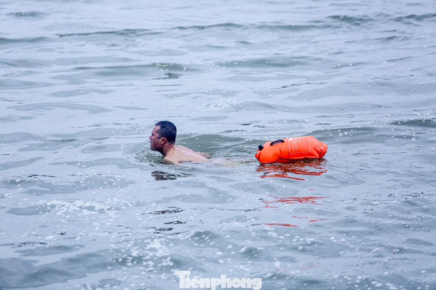 Nền nhiệt giảm sâu vào sáng sớm và chiều tối nhưng các "kình ngư" không từ bỏ thói quen.