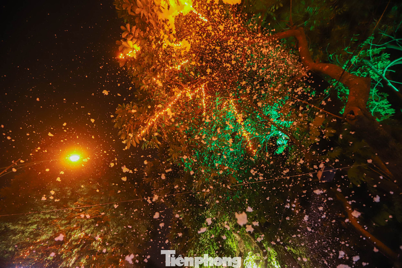 Tại đây, hai máy phun tuyết được bố trí trên cao để phục vụ du khách đến đón Giáng sinh.