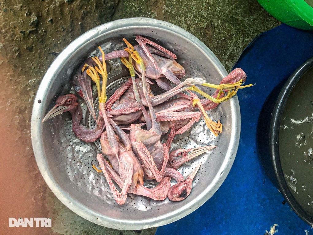 Những con chim diệc, vạc được tiểu thương mổ sạch đợi cung cấp cho khách hàng (Ảnh: Người bán cung cấp).