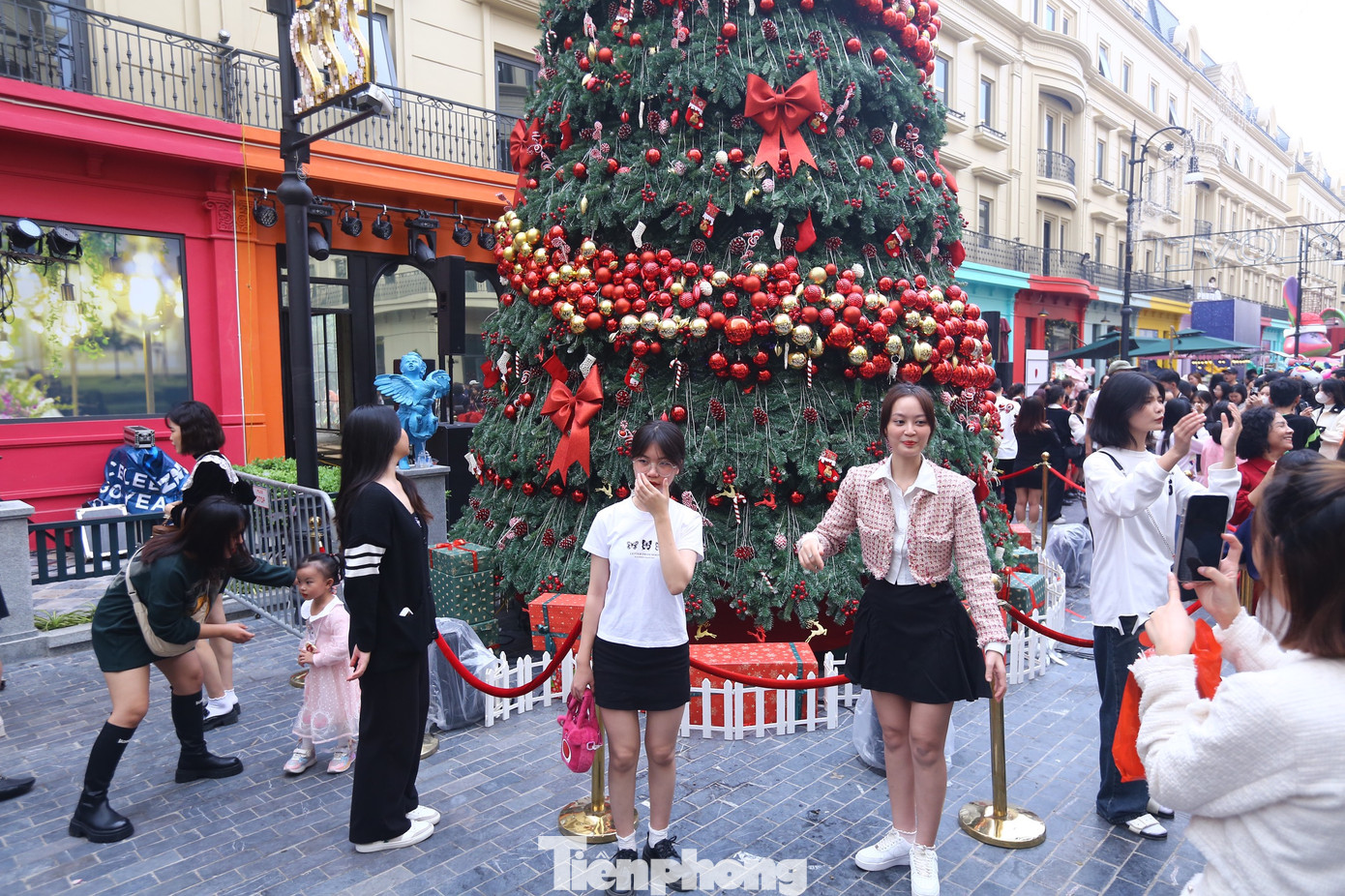 Dưới cây thông, người dân và du khách chen nhau chụp ảnh.