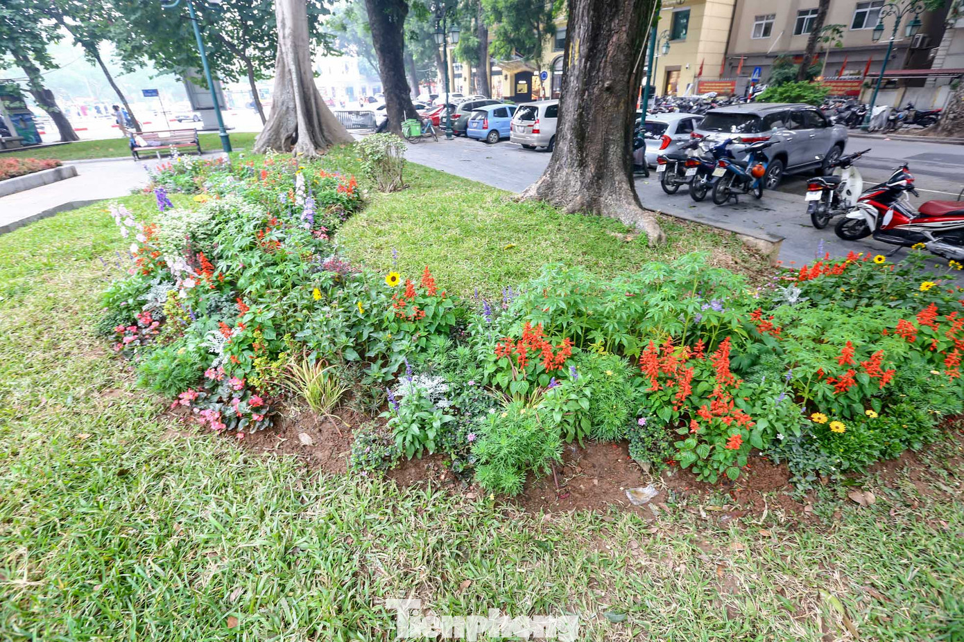 Những cách trang trí vườn hoa tạo ấn tượng mạnh cho người dân và du khách đến tham quan.