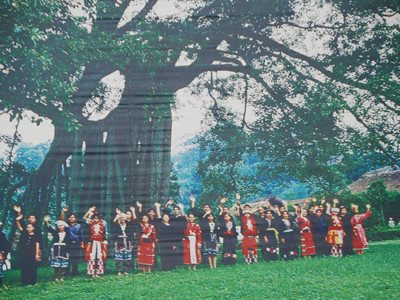 Hình ảnh cũ cây đa Tân Trào 