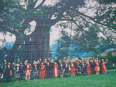 Hình ảnh cũ cây đa Tân Trào 
