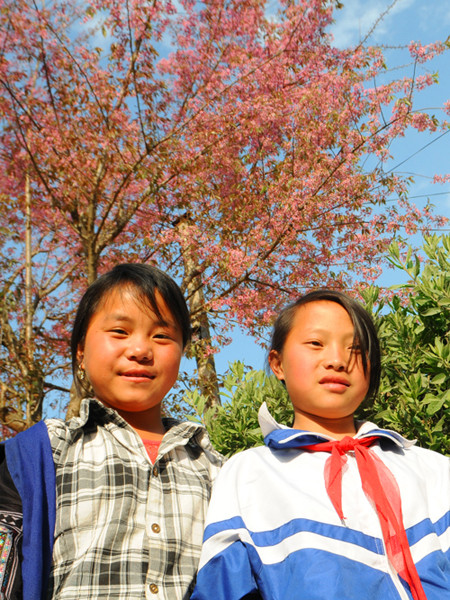 Những em học sinh háo hức được chụp ảnh dưới cây đào