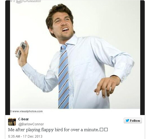 Con đường trở thành hiện tượng toàn cầu của Flappy Bird ảnh 8